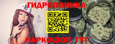 СК Сланцы