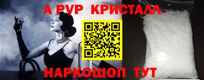 СК Сланцы