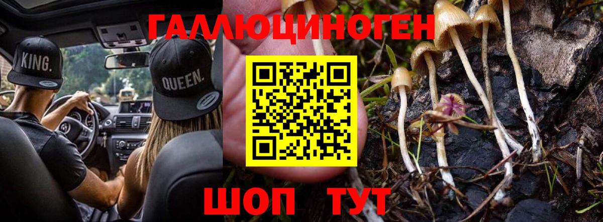 Галлюциногенные грибы GOLDEN TEACHER  Вход с VPN  Полысаево 