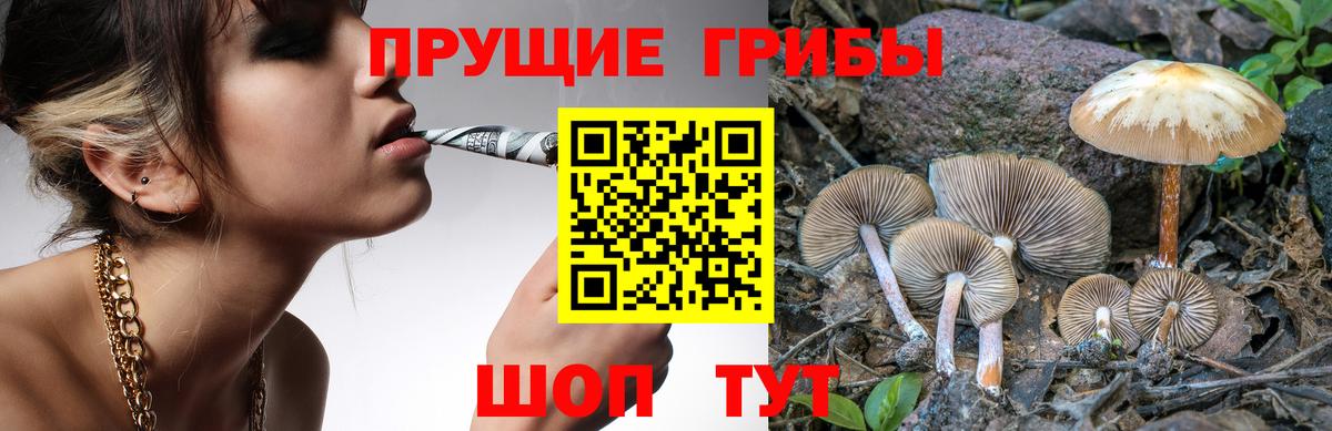 Псилоцибиновые грибы прущие грибы Полысаево